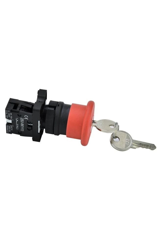 Gwest Kalıcı Anahtarlı Mantar Buton 20MM BZ-01ZA 6075
